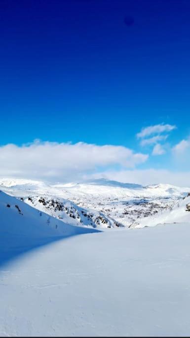 Koselig Og Moderne Leilighet, Meget Sentralt I Narvik Med Gratis Parkering! Екстер'єр фото